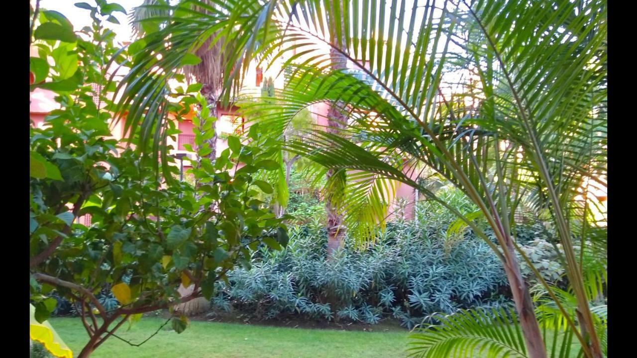 Marbella Alicate Beachfront - Luxury Apartment-2 エクステリア 写真